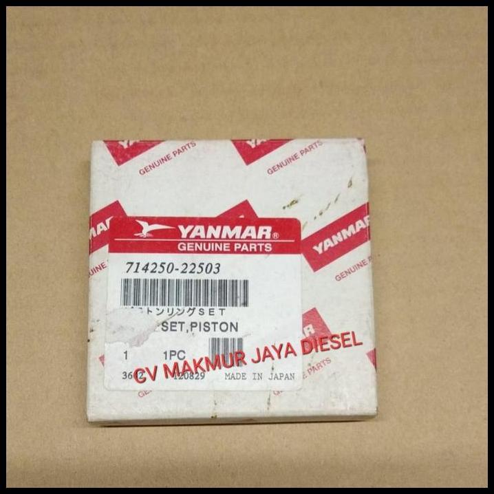TERLARIS RING PISTON L40 714250-22503 YANMAR 