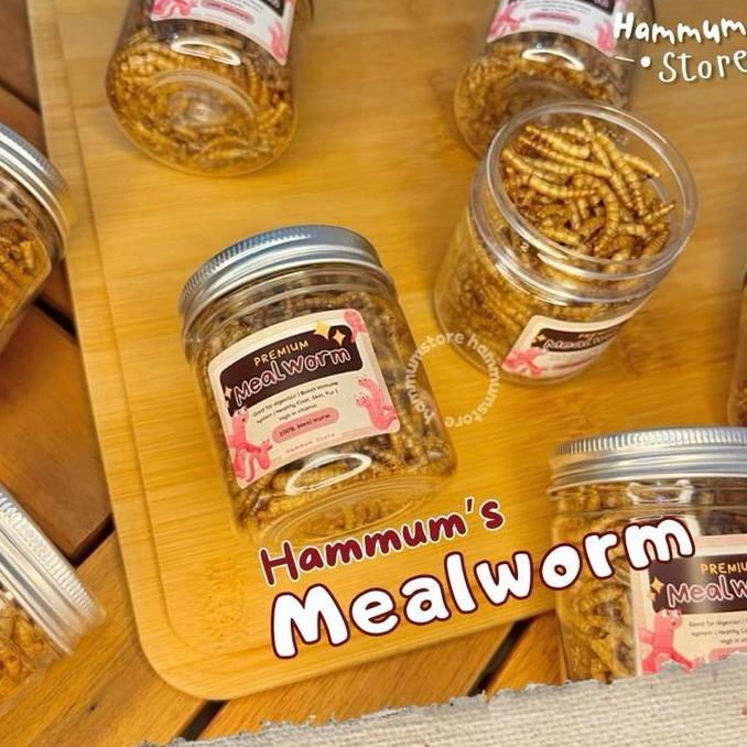MEALWORM Ulat Hongkong Kering Makanan Hamster Burung Reptil | Ulat Kering | Protein Snack Hamster