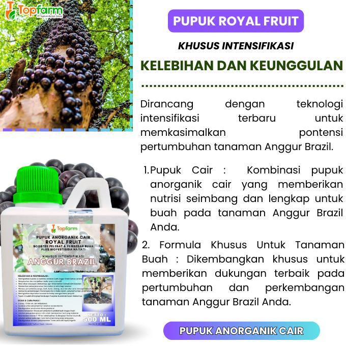 Promo Cod Pupuk Booster Pelebat Buah Anggur/ Pupuk Booster Anggur Brazil/ Pupuk Booster Anggur Brazi