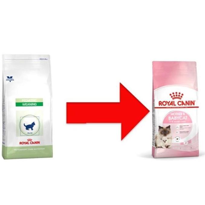 Youcat- Royal Canin Weaning 400Gr/Rc Weaning/Makanan Kucing/Makanan Kering