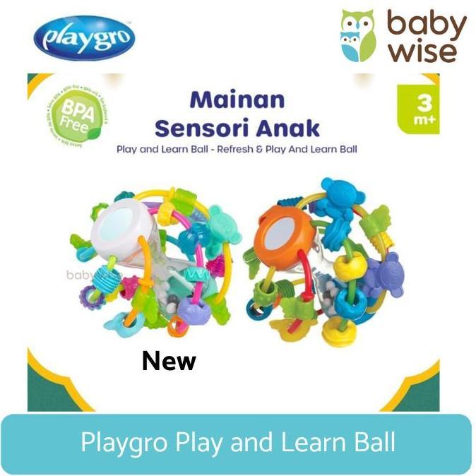 Playgro Play and Learn Ball