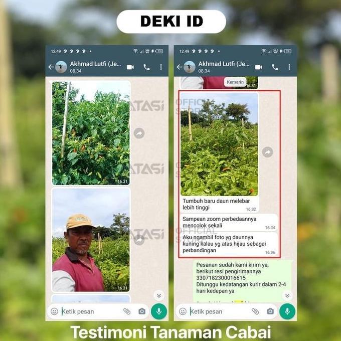 Fulka - Pupuk perangsang pertumbuhan organik yang membantu tanaman tumbuh lebih cepat. [terbaik]
