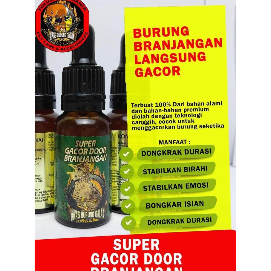 SUPER GACOR DOOR BRANJANGAN PENGGACOR SEKETIKA