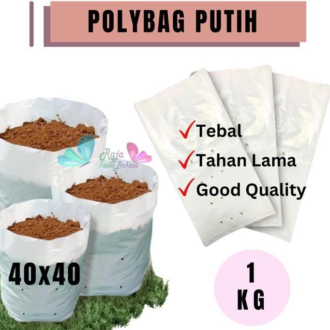 RAJA INDO GROSIR 1KG POLYBAG 40x40 PUTIH Tebal Polibek Polibag Tanaman 40 cm