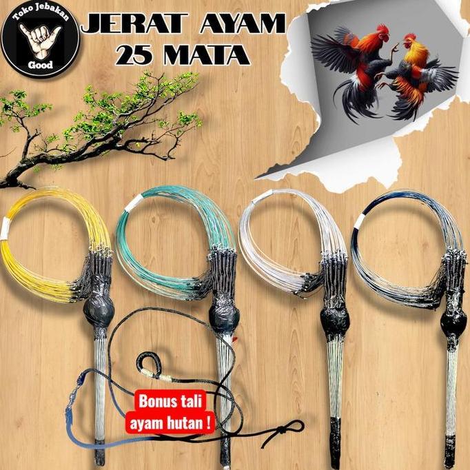 Fiteri_shopsans - pikat jerat ayam hutan 25 mata