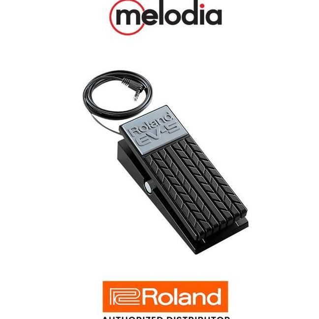 Roland Ev5 Expression Pedal