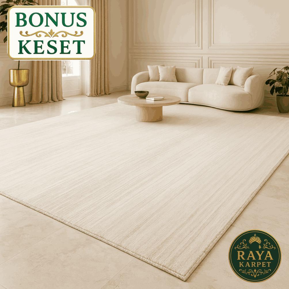 Karpet Ruang Tamu | Karpet Aesthetic 200x300 180x250 120x200 Tebal Premium Raya Karpet