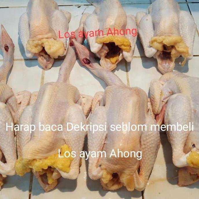 Carne- Ayam Kampung Besar