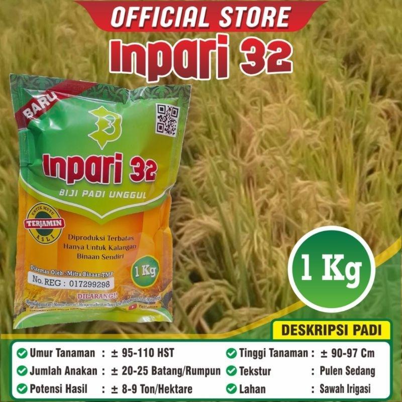 Padi Inpari 32 / Padi Inpari 32 Unggul Terkini / Biji Padi Unggul Inpari 32 / Kemasan 1 Kilogram / O