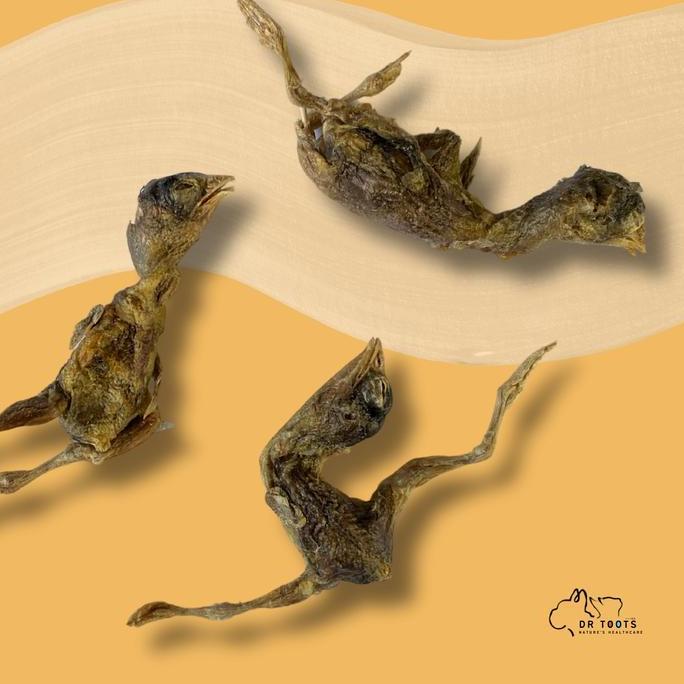 12pcs Freeze Dried BABY QUAIL Pet Snack/Cemilan Burung Puyuh Raw Treat