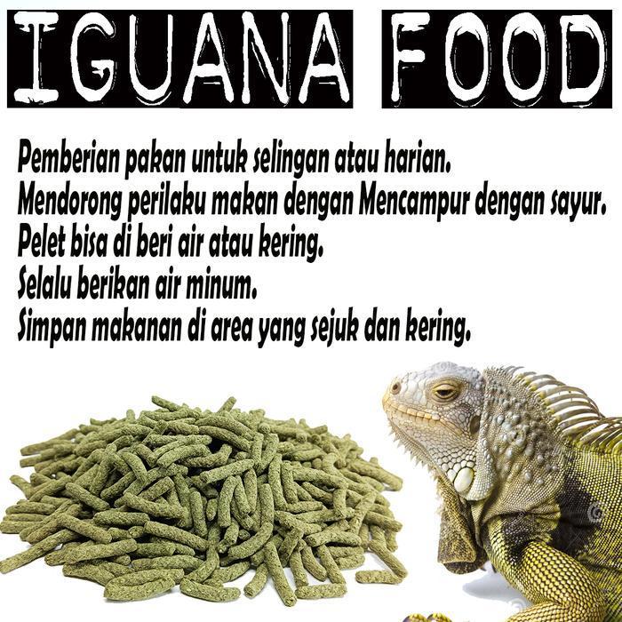 700GR IGUANA NATURAL FOOD DIET JUVENILE ADULT PELLET SAYUR REPTILE IGUANA BATU MAKANAN ALAMI IGUANA 