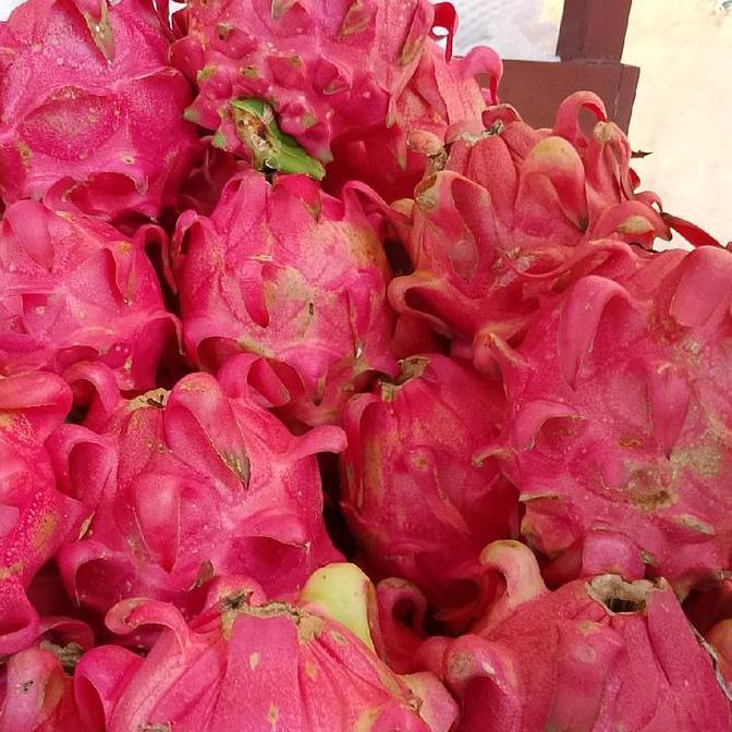 buah naga merah fresh/buah naga merah/buah naga manis Frozen Gula