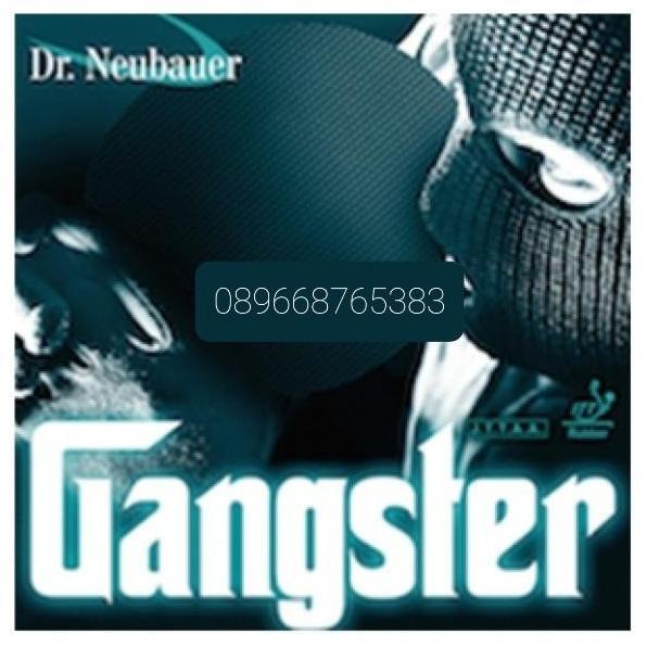 TERMURAH - Dr. Neubauer GANGSTER, Bintik Panjang