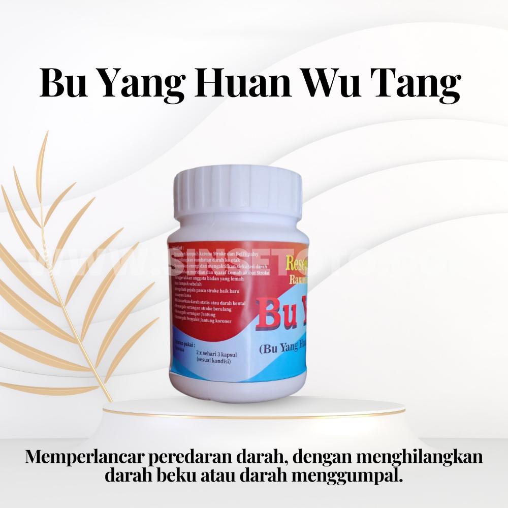 Selera Jualan - Obat Pasca Stroke Ampuh Dari China, Bu Yang Huan Wu Tang Ramuan Sinse