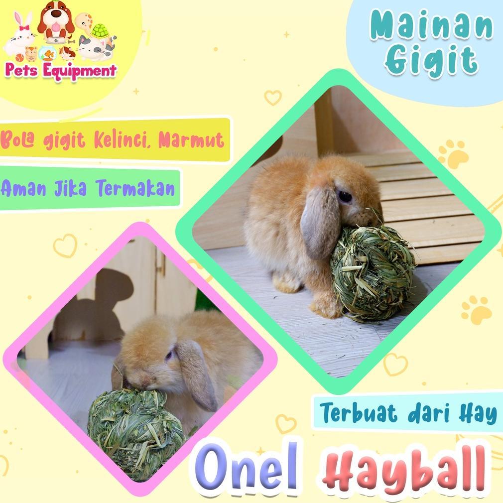 ONEL HAY BALL/mainan gigit kelinci guinea pig/rabbit chew toys/rabbit toys