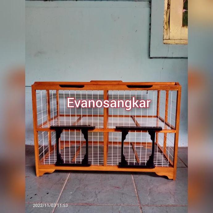 NEW KANDANG DONGDANG BURUNG DARA JERUJI FIBER PINTU 4 ORI
