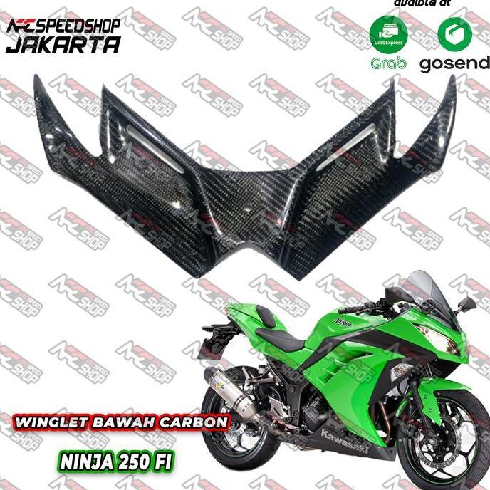 juonkooo - Part Carbon Winglet Carbon Kevlar Ninja 250Fi old Diskon