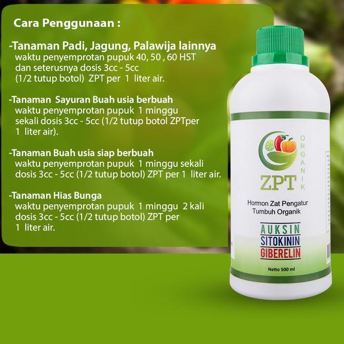 Place- Hormon Zpt Organik Zat Pengatur Tumbuh Auksin Giberelin Sitokinin