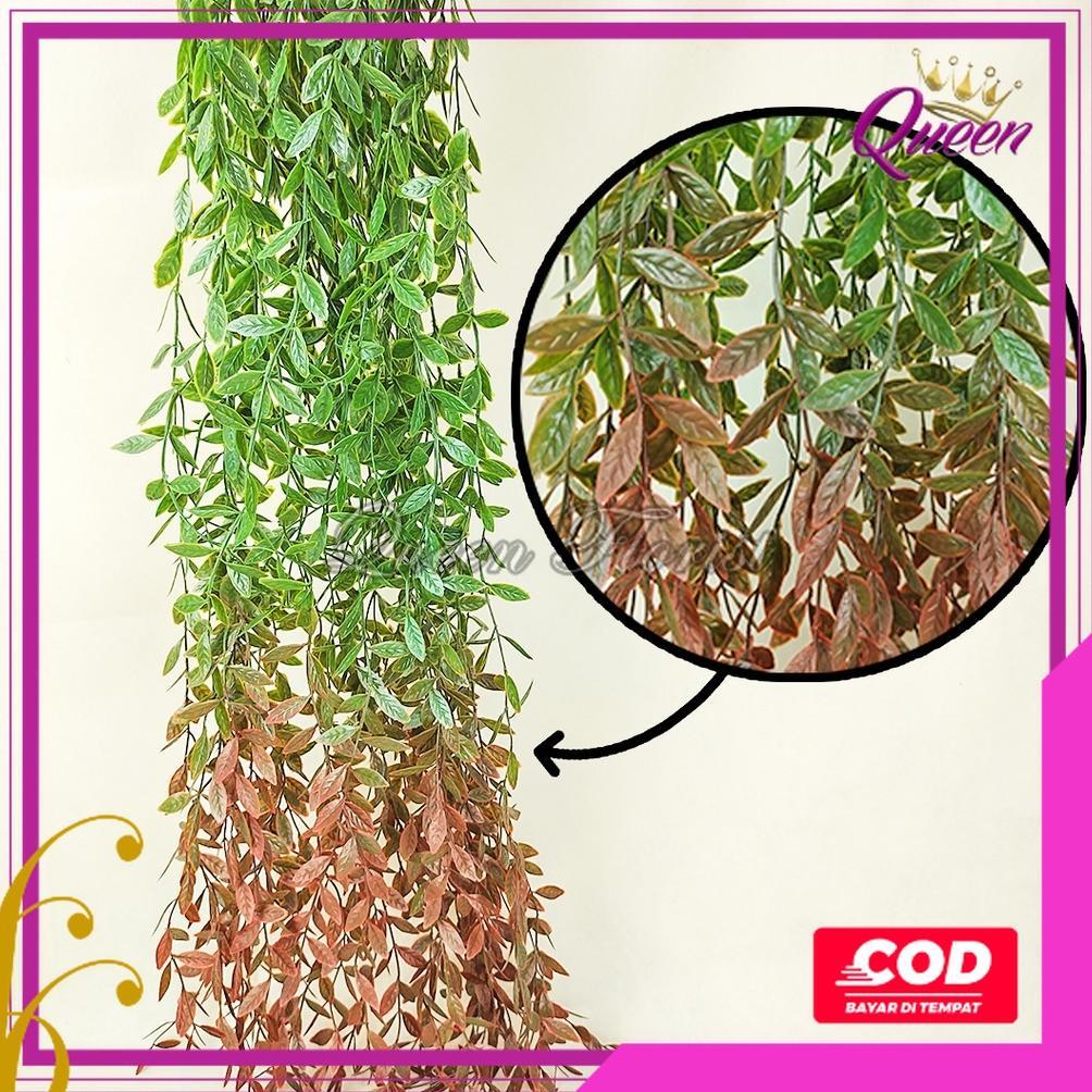 premium [cod] daun juntai likanyu lee kwan yu hoya costa plastik artificial - tanaman gantung hias d
