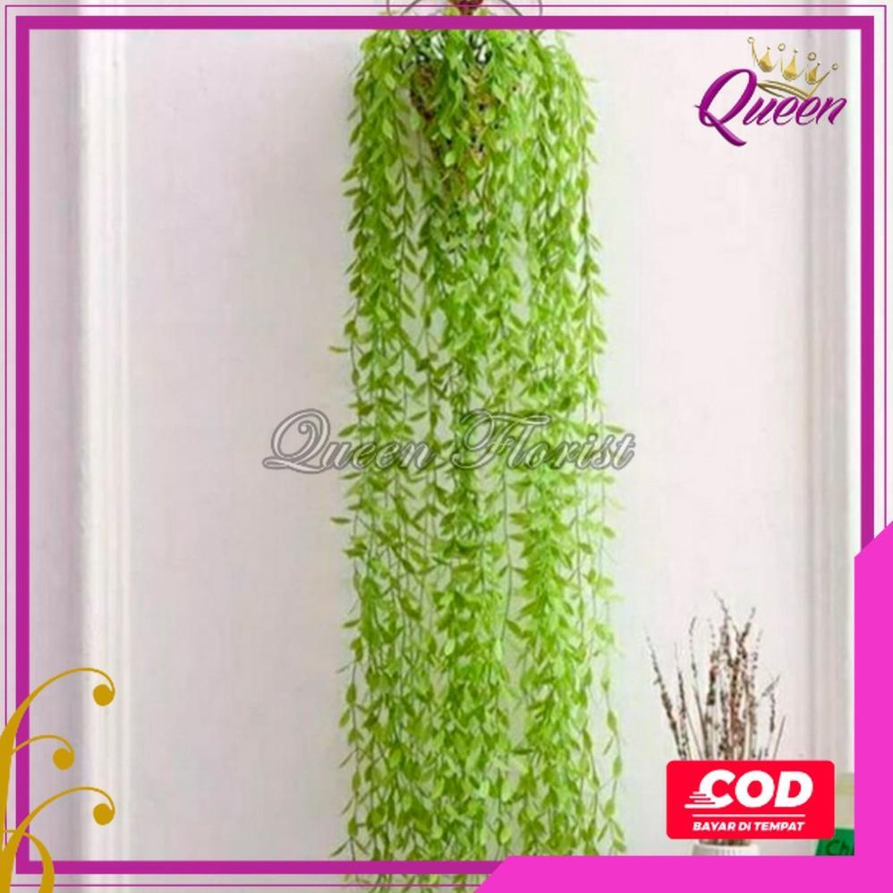 Fast Delivery [Cod] Daun Juntai Likanyu Lee Kwan Yu Hoya Costa Plastik Artificial - Tanaman Gantung 
