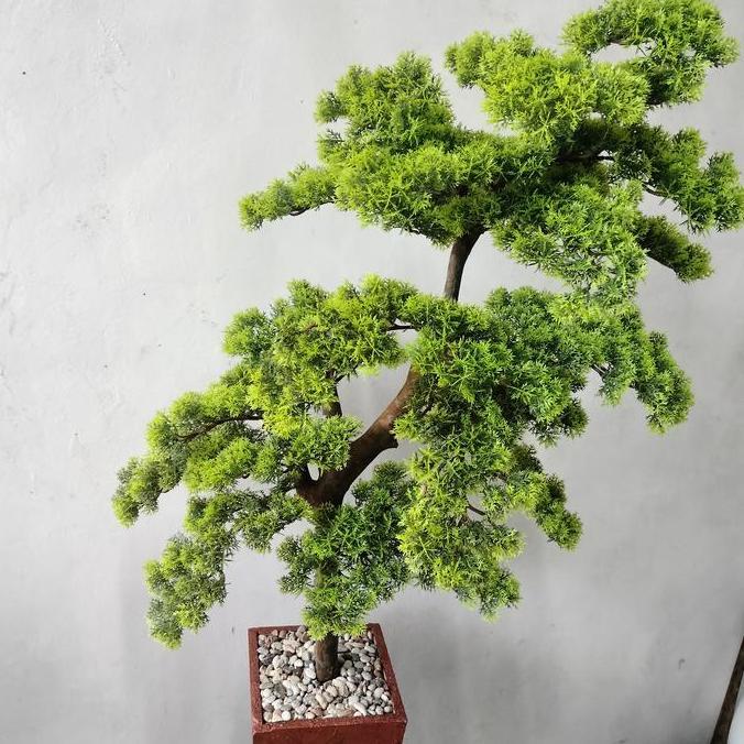 pohon bonsai cemara udang tinggi 120 cm - pohon bonsai artificial