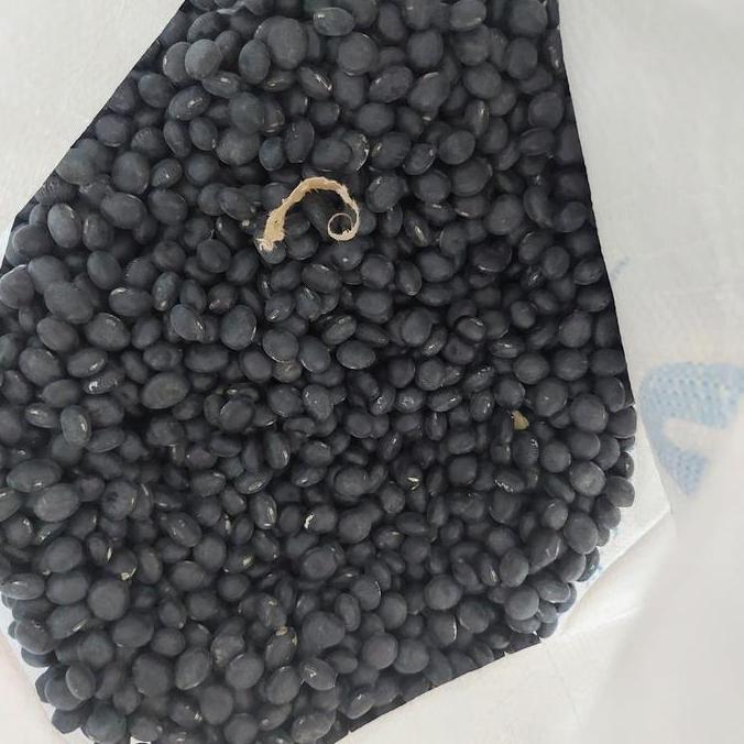 kacang kedelai hitam kacang hitam