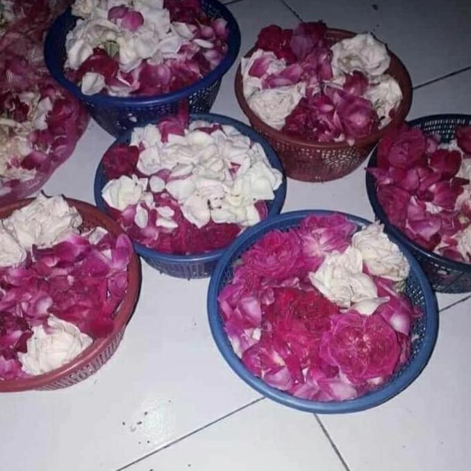 bunga mawar tabur kampung/lokal wangi mawar pink/ungu putih