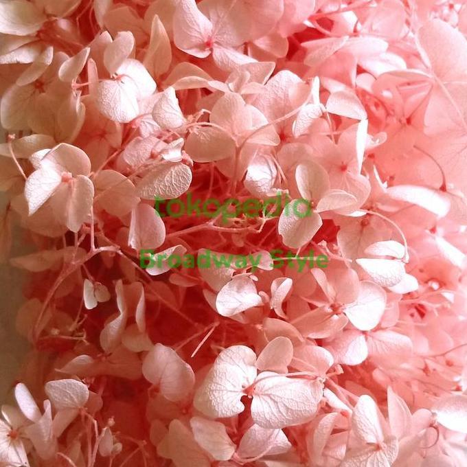 Dried Flower Hydrangea Hortensia Bunga kering Hiasan Kue Cake Tart
