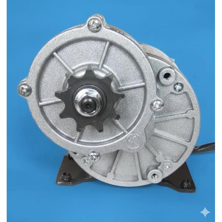 Dinamo Motor For Electric bike MY1016Z3 Brushed 350W 24V (7074)