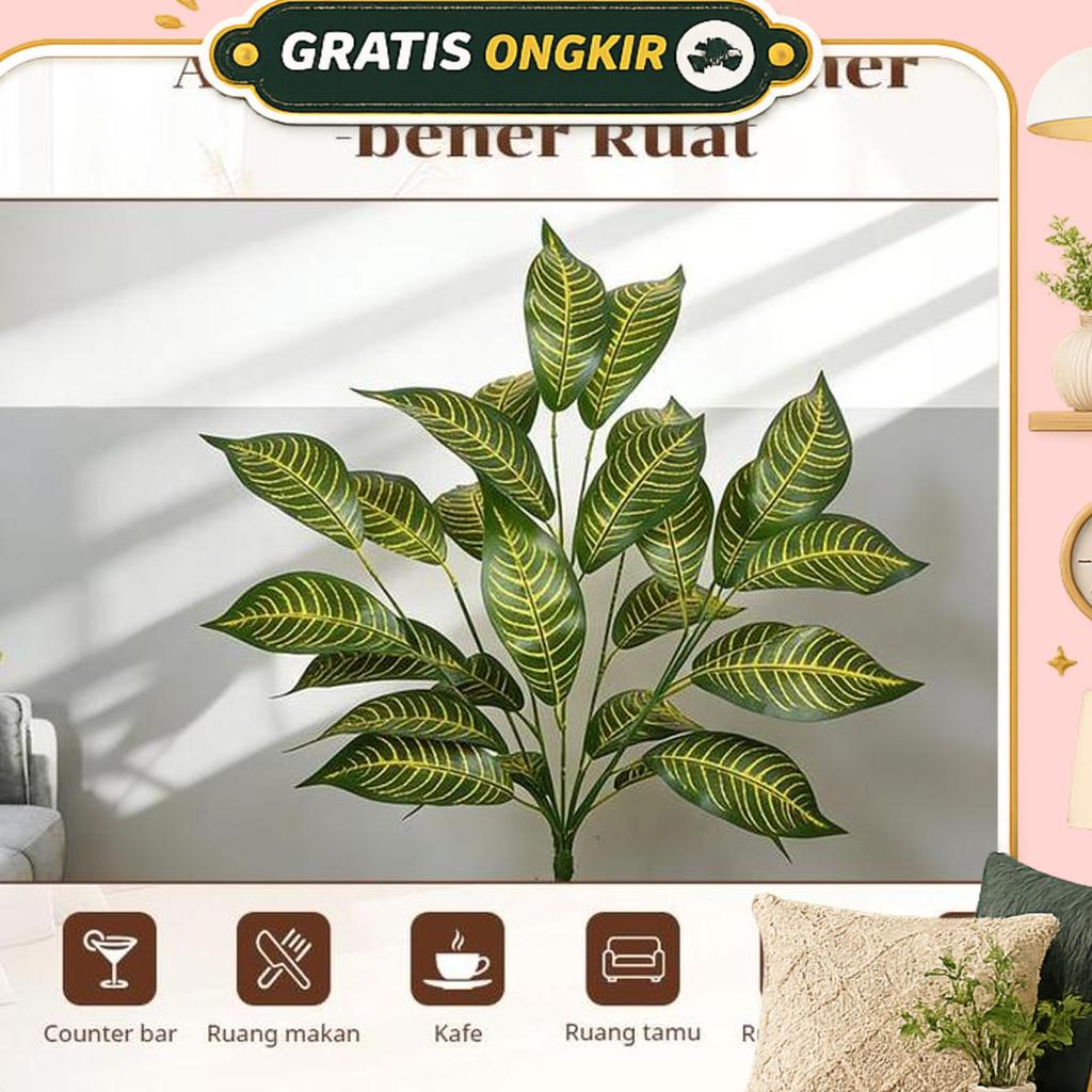 Cod 100% Aman73.5Cm Tanaman Hias Puring / Daun Puring Kuning Dalam Pot Plastik Dekorasi Sudut Rumah 