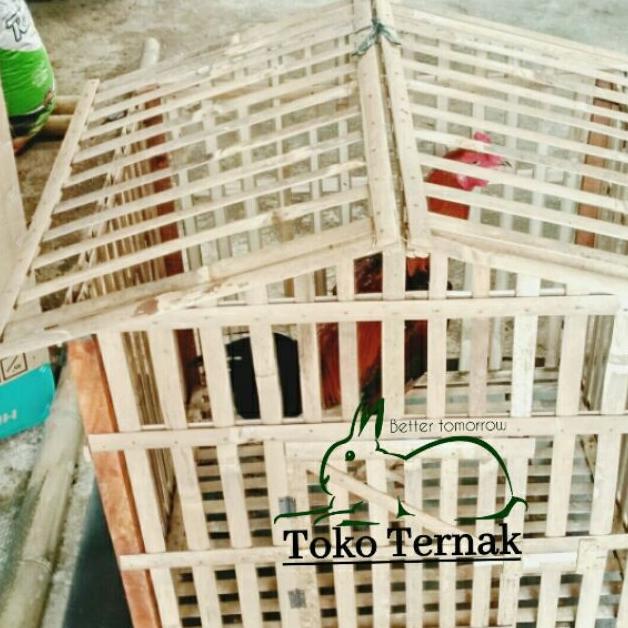 Kandang Rakit Kandang Ayam Jago