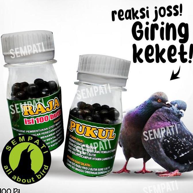 SEMPATI ISI 100 BUTIR JAMU MERPATI RAJA PUKUL SUPLEMEN VITAMIIN BURUNG MERPATI BALAP KOLONG TINGGI D