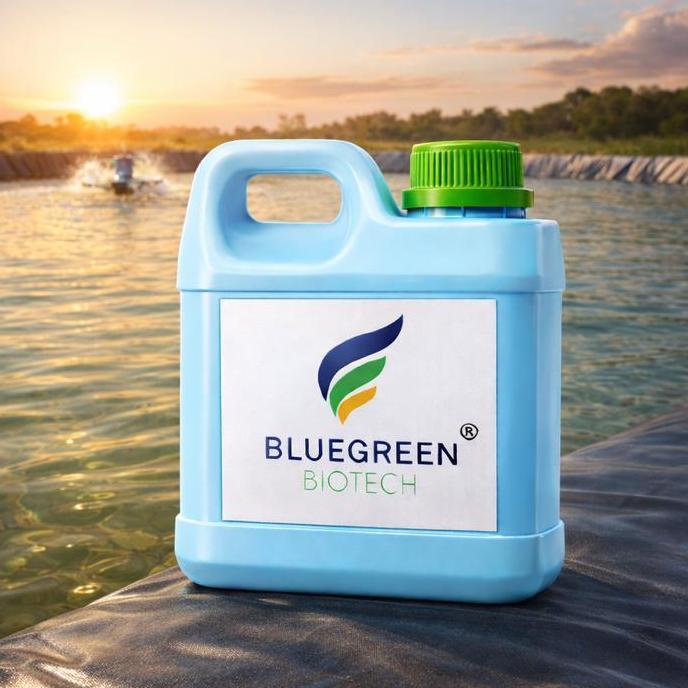 Probiotik Tambak Udang BlueGreen Biotech