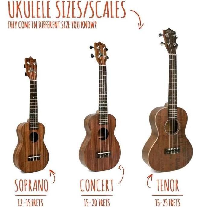 Sale Grande Ukulele Concerto Uk23 Ns + Softcase
