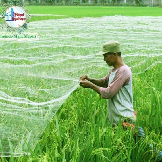 Omnadiefaa_ - Jaring Burung 100 Yard (90 Meter) / Jaring Sawah / Jaring Ikan / Jaring Padi