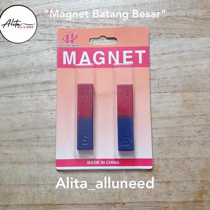 Arte- Magnet Batang Besar