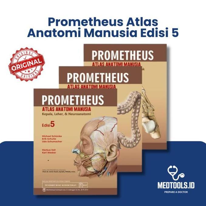 Prometheus Atlas Anatomi Manusia Edisi 5/Paket 3 Buku/Original