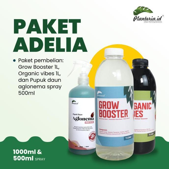 Okebro- Noni- Pupuk Organik Vitamin B1 Aglonema Paket Adelia Tanaman