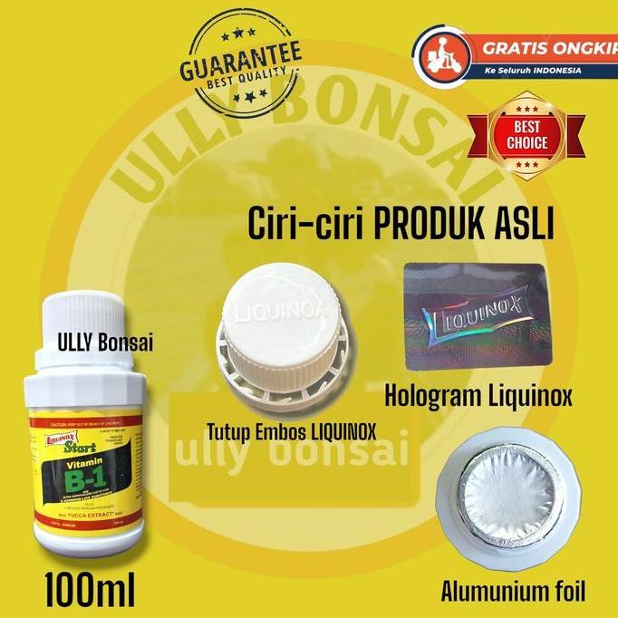 Pupuk Vitamin B1 Liquinox
