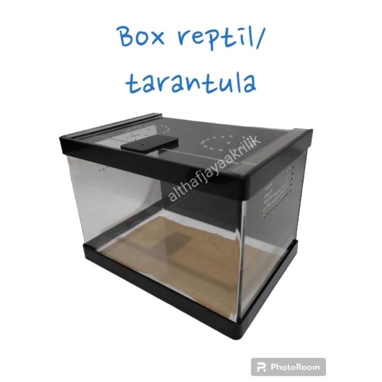 Kotak Reptil / Kandang Reptil Akrilik