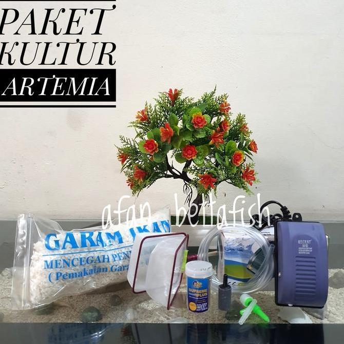 PAKET KULTUR ARTEMIA Supreme Plus 10 gr Lengkap