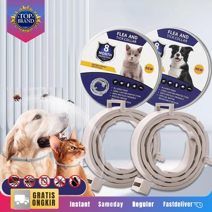 Kalung Anti Kutu Anjing Kalung Anti Kutu Anjing Kalung Kucing Anti Kutu Dan Jamur Kalung Kutu Kucing