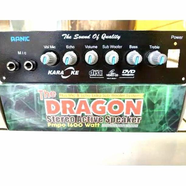 Weenew- Kit Amplifier Speaker Aktif Karaoke Plus Echo The Dragon