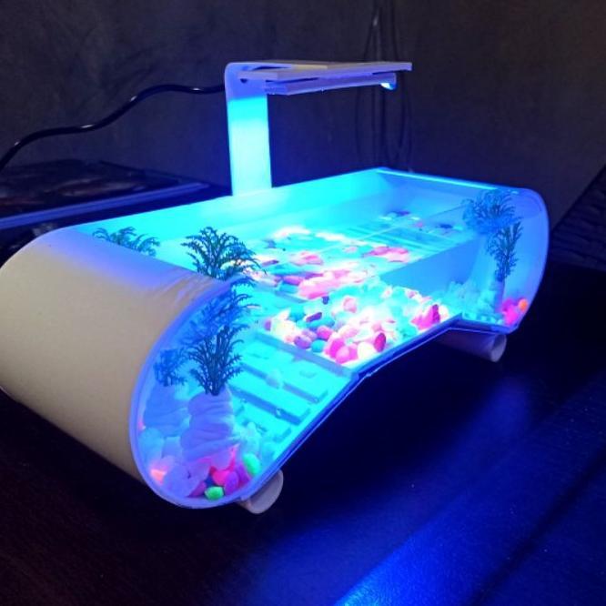 Aquarium Mini/Aquarium Kura Kura Brazil