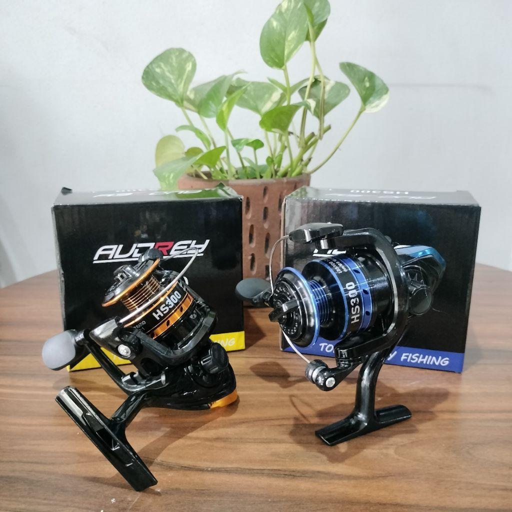 Reel Audrey Besi Hs 300