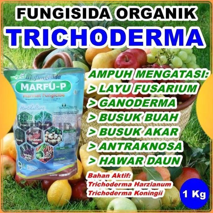 Tricoderma 1 kg Fungisida Organik Trichoderma Pembasmi Jamur Marfu P