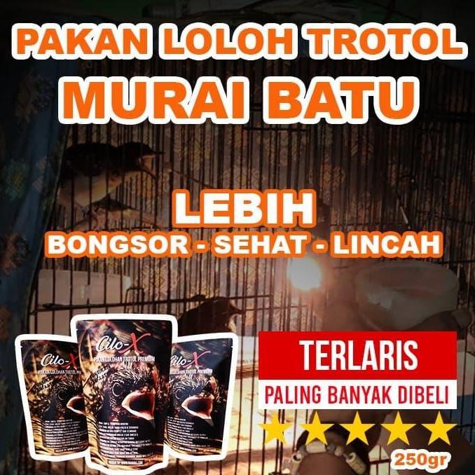 Voer Lolohan Trotol Murai Batu Cilo-X