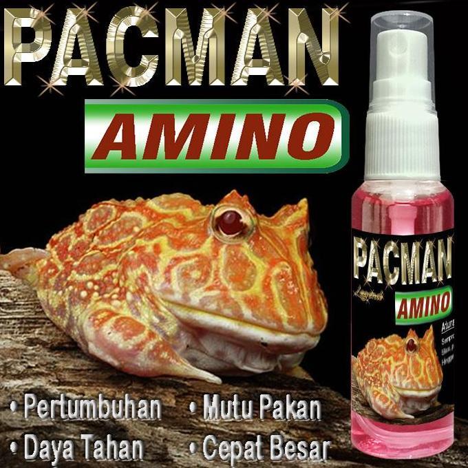 PACMAN AMINO VITAMIN REPTILE KODOK KATAK FROG  PAKMAN STRAWBERRY GREEN REPTILE AMPHIBI OBAT FOOD SUP