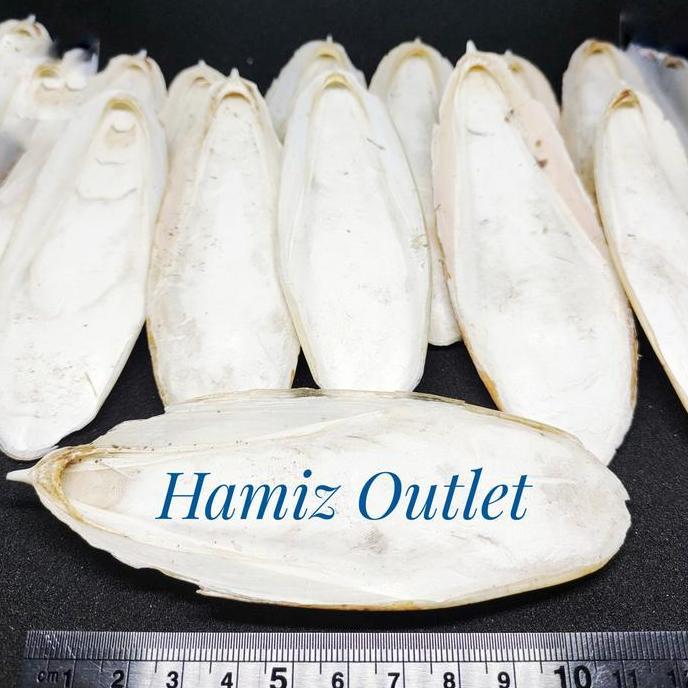 TULANG SOTONG 9-11 CM TERMURAH BEST PRODUK