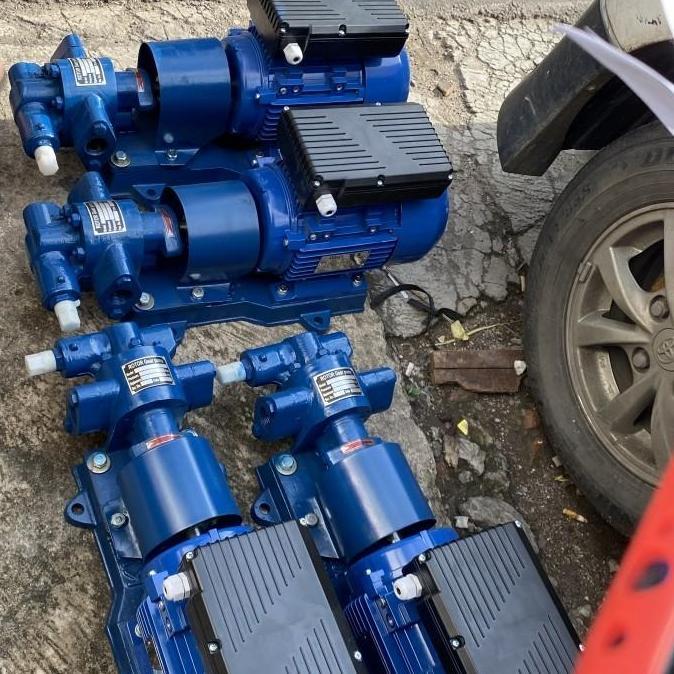 Pompa Gear Pump Rotor Rk-55 Pompa Transfer Oli Gear Pump Rk 55 220/380
